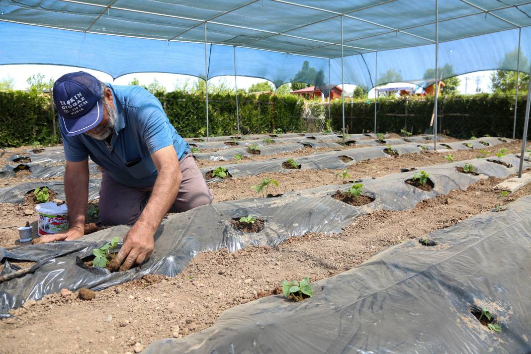 Meram Belediyesi Hobi Bahçesi başvurusu 2025 3